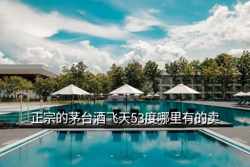 正宗的茅臺(tái)酒飛天53度哪里有的賣(mài)