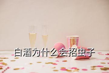 白酒為什么會招蟲子