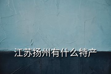 江蘇揚州有什么特產(chǎn)