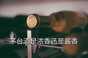 茅臺酒是濃香還是醬香