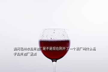 請(qǐng)問亳州市古井酒廠是不是現(xiàn)在剛開了一個(gè)新廠叫什么名字古井酒廠里面