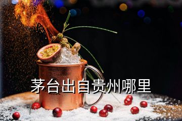 茅臺(tái)出自貴州哪里