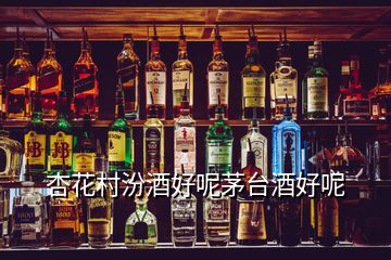 杏花村汾酒好呢茅臺酒好呢