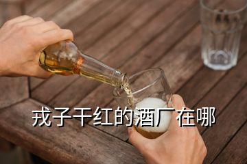 戎子干紅的酒廠在哪