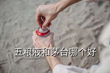 五糧液和茅臺(tái)哪個(gè)好