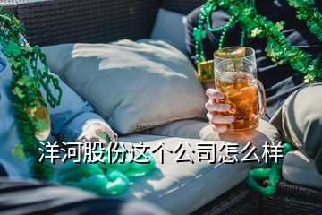 洋河股份這個(gè)公司怎么樣