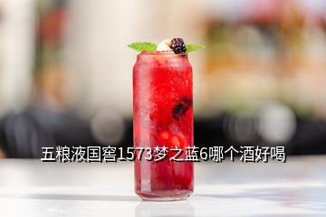 五糧液國窖1573夢(mèng)之藍(lán)6哪個(gè)酒好喝