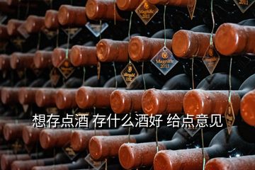 想存點(diǎn)酒 存什么酒好 給點(diǎn)意見