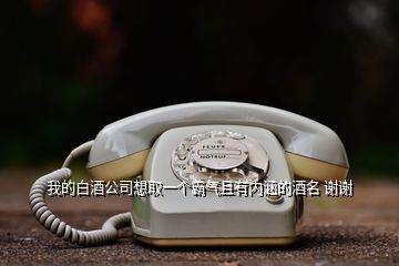 我的白酒公司想取一個(gè)霸氣且有內(nèi)涵的酒名 謝謝