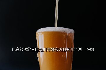 巴音郭楞蒙古自治州 新疆和碩縣有幾個酒廠 在哪