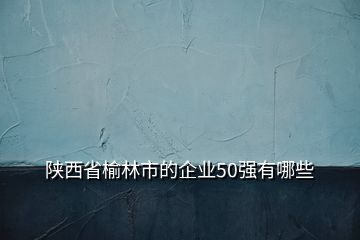 陜西省榆林市的企業(yè)50強有哪些