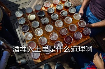 酒埋入土里是什么道理啊