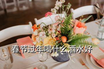 春節(jié)過(guò)年喝什么酒水好