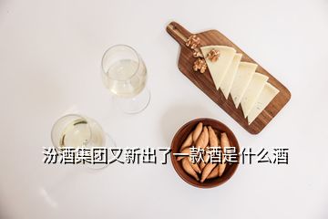 汾酒集團又新出了一款酒是什么酒