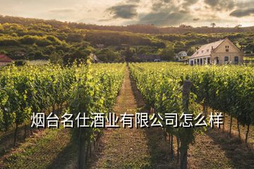 煙臺(tái)名仕酒業(yè)有限公司怎么樣