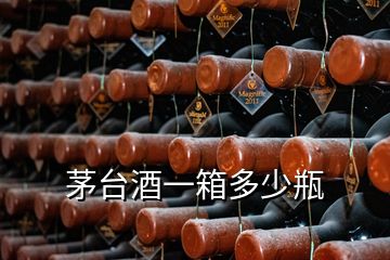 茅臺(tái)酒一箱多少瓶