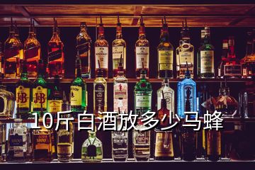 10斤白酒放多少馬蜂