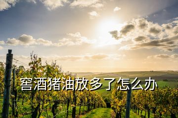 窖酒豬油放多了怎么辦