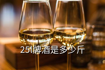 25l牌酒是多少斤