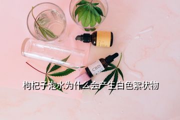 枸杞子泡水為什么會產生白色絮狀物