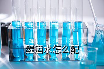 醒酒水怎么配