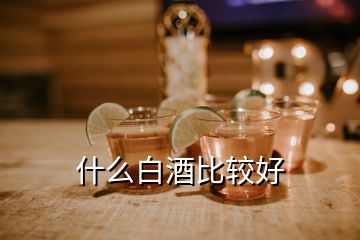 什么白酒比較好