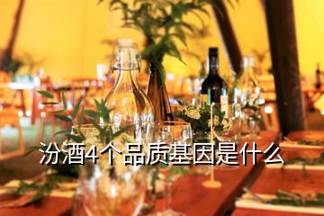 汾酒4個品質(zhì)基因是什么