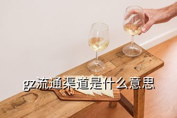 gz流通渠道是什么意思