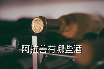 阿拉善有哪些酒