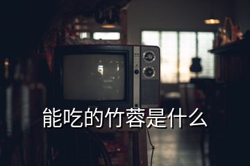 能吃的竹蓉是什么