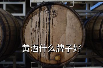 黃酒什么牌子好