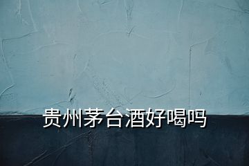 貴州茅臺(tái)酒好喝嗎