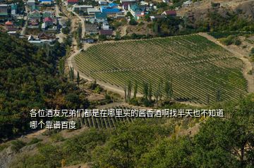 各位酒友兄弟們都是在哪里買的醬香酒啊找半天也不知道哪個靠譜百度