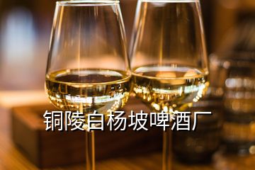 銅陵白楊坡啤酒廠