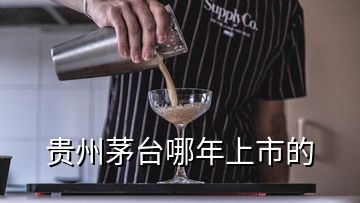 貴州茅臺(tái)哪年上市的