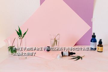 貴州王子酒和茅臺王子酒的區(qū)別高于同等價(jià)位什么意思怎么理解太模糊了