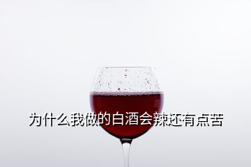 為什么我做的白酒會(huì)辣還有點(diǎn)苦