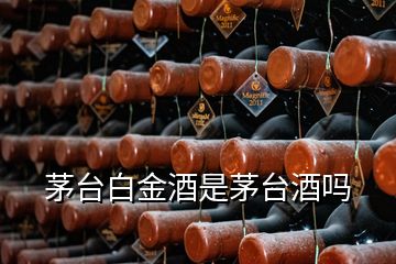 茅臺(tái)白金酒是茅臺(tái)酒嗎