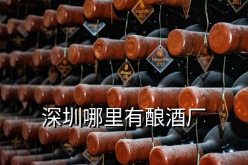 深圳哪里有釀酒廠