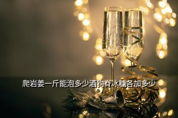 爬巖姜一斤能泡多少酒狗脊冰糖各加多少