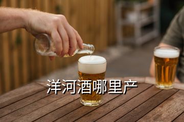 洋河酒哪里產(chǎn)