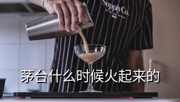 茅臺什么時候火起來的