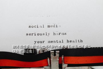 歌詞 我想要一杯怎么也喝不醉的酒 不要五糧液 也不要二鍋頭 它會(huì)讓我