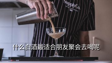 什么白酒最適合朋友聚會去喝呢