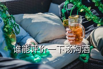 誰能評價一下湯溝酒