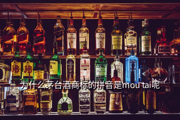 為什么茅臺酒商標的拼音是mou tai呢