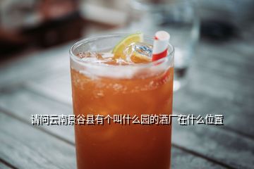 請問云南景谷縣有個叫什么園的酒廠在什么位置