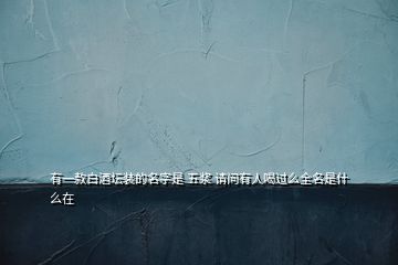 有一款白酒壇裝的名字是 五漿 請(qǐng)問有人喝過么全名是什么在