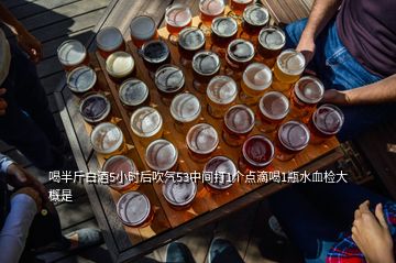 喝半斤白酒5小時(shí)后吹氣53中間打1個(gè)點(diǎn)滴喝1瓶水血檢大概是