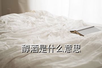 醇酒是什么意思